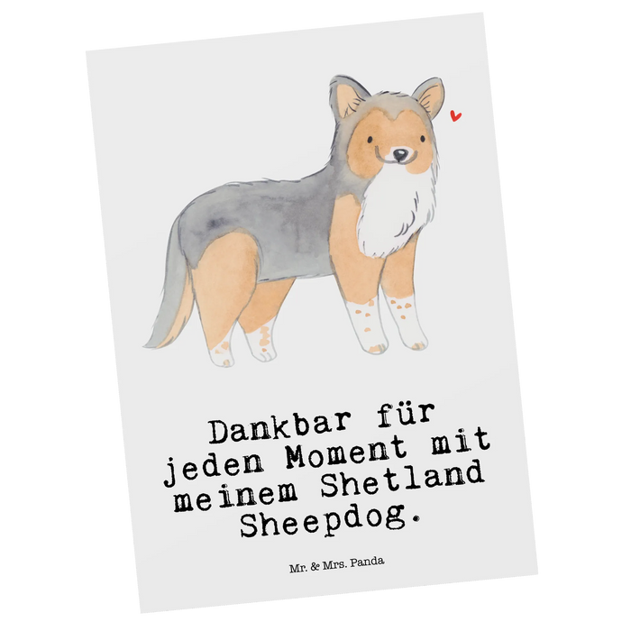 Postcard Shetland Sheepdog moment