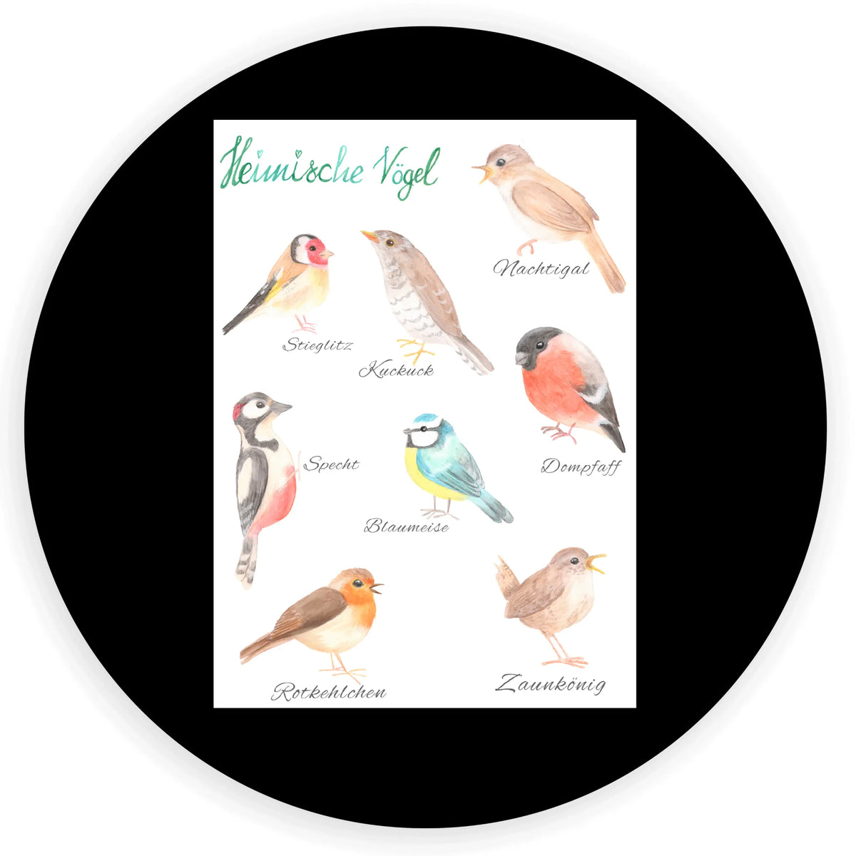 Round sticker Native birds round, children, label, Sticker, sticker, Nature, joy of life, love, Native birds, Birds