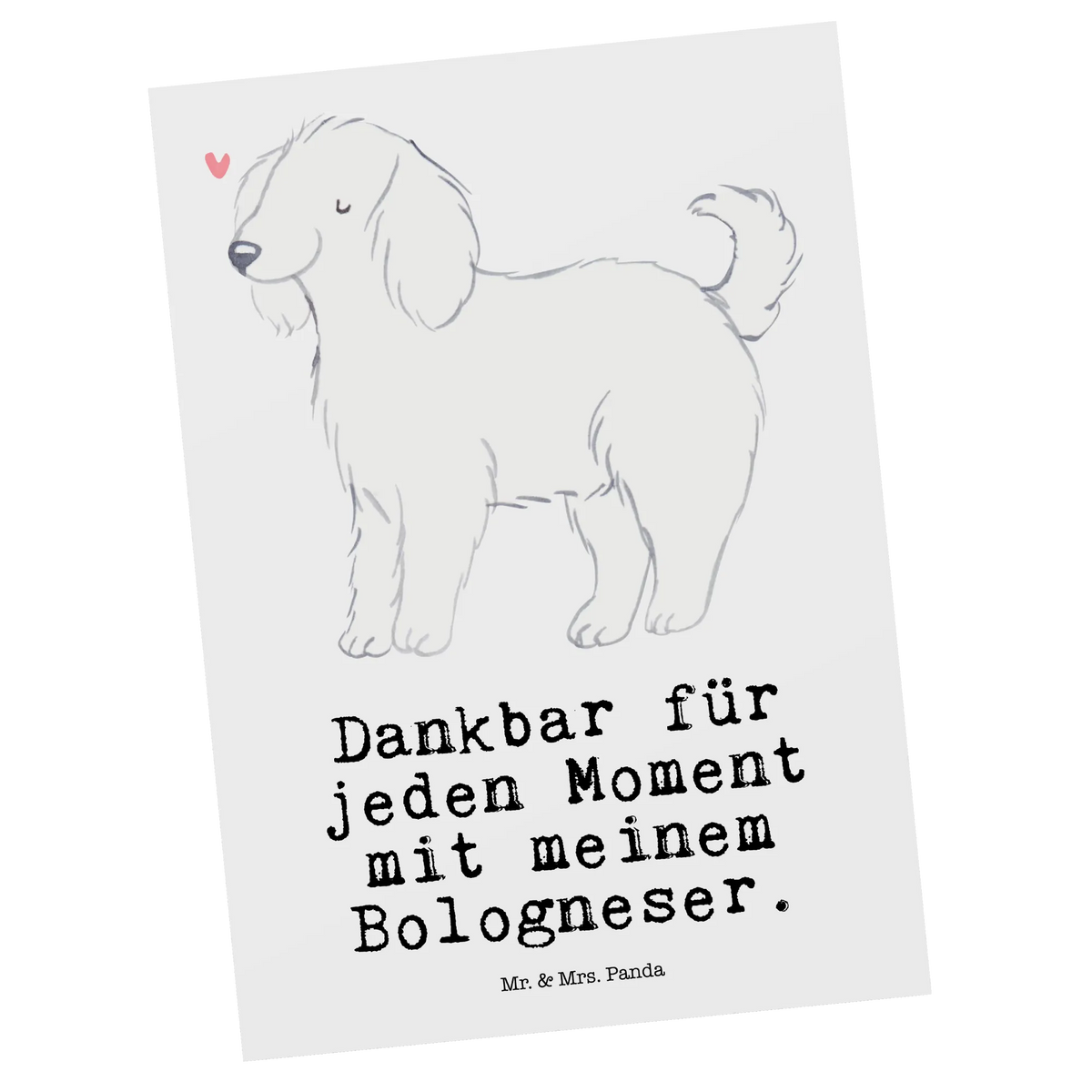 Postkarte Bologneser Moment spruchkarte, Ansichtskarten, Motivkarte, Postkarte, kunstkarte, Fotokarte, einzelkarte, Designkarte, Ansichtskarte, bildkarte, Grußkarte, Postkarten, Kunstkarten, Geschenk, Schenken, Hund, Hunderasse, Rassehund, Hundebesitzer, Tierfreund, Welpe, Bologneser