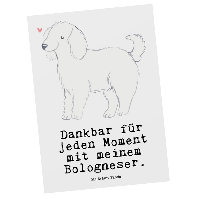 Postkarte Bologneser Moment