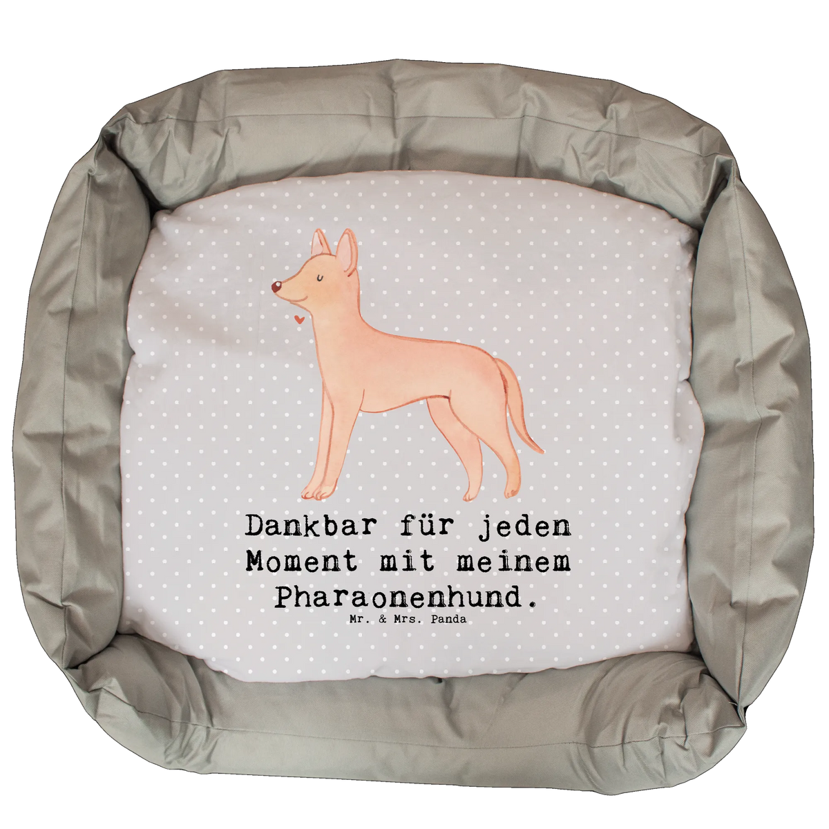 Dog bed Pharaoh Hound Moment gift, animal lover, dog breed, giving, purebred dog, dog owner, puppy