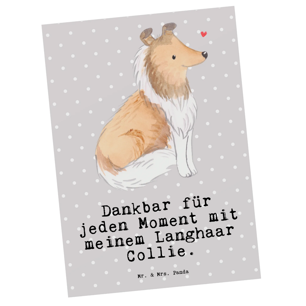 Postcard Long-haired Collie Moment gift, animal lover, giving, dog breed, purebred dog, dog owner, puppy