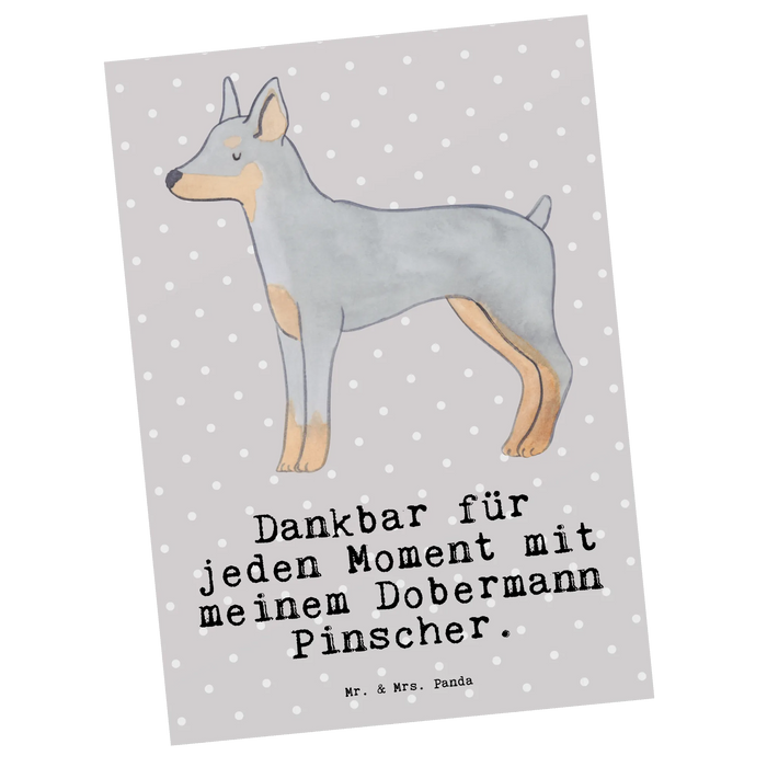 Postcard Doberman Pinscher moment