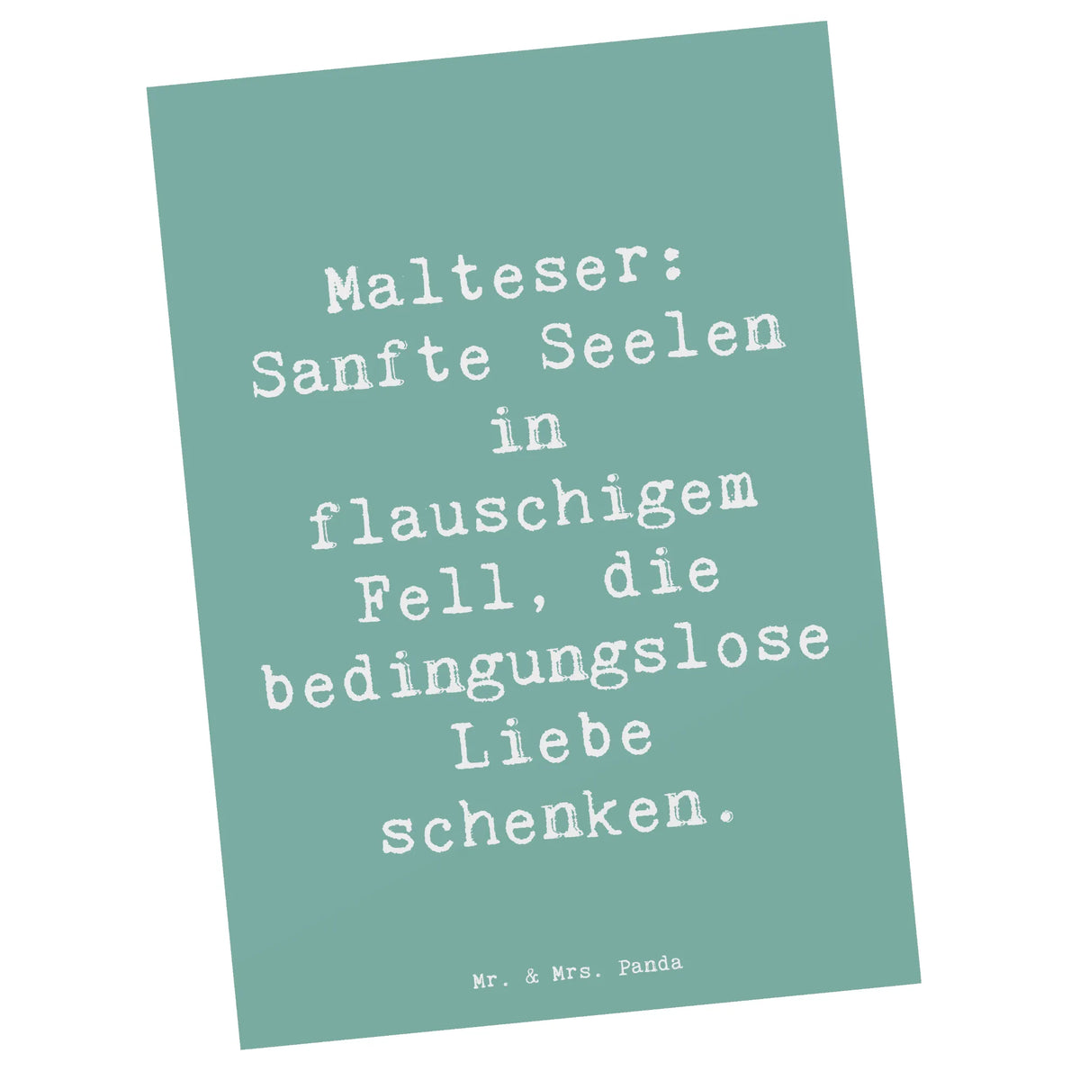 Pocztówka Powiedzenie Malteser: Sanfte Seelen in flauschigem Fell, die bedingungslose Liebe schenken.