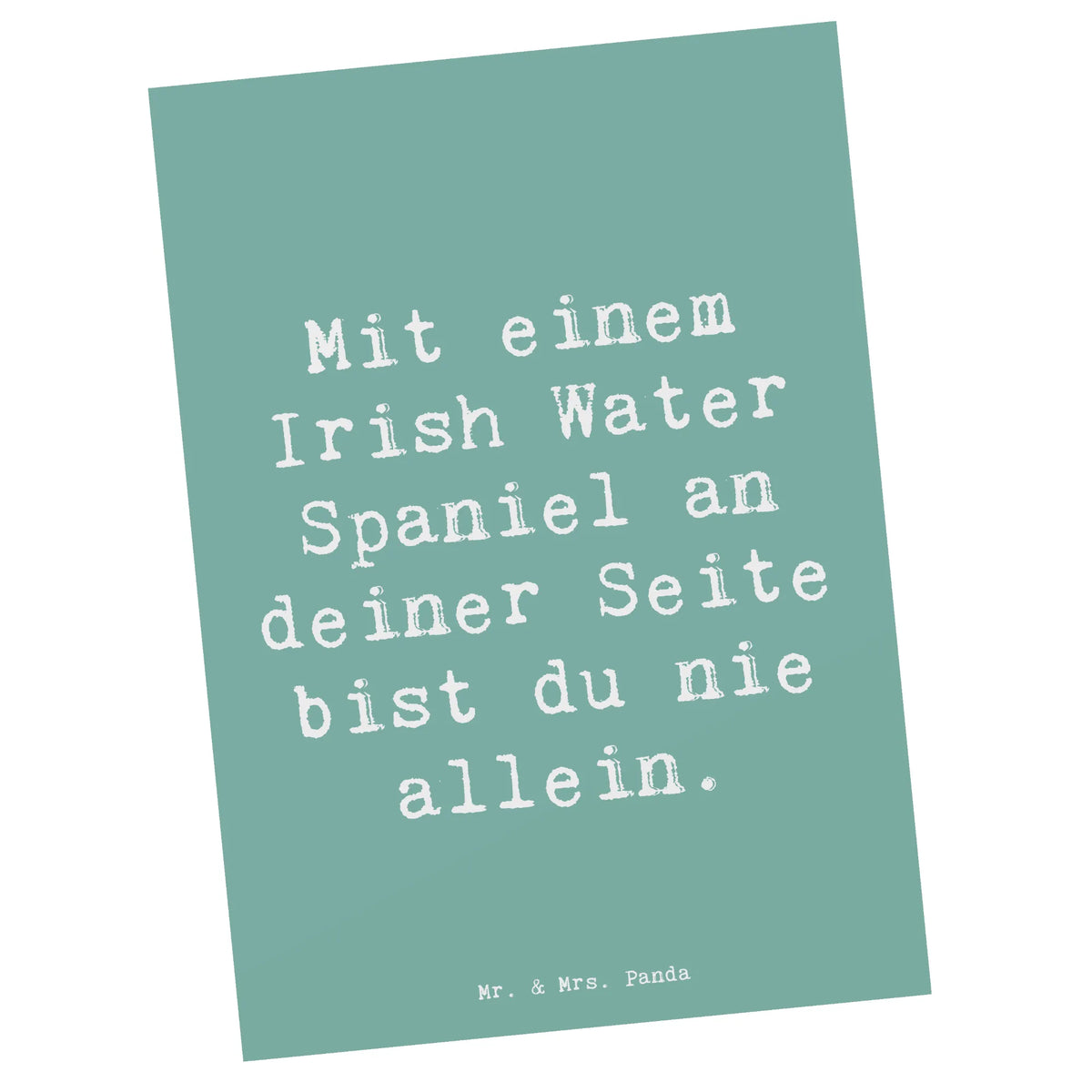 Postkarte Spruch Irish Water Spaniel Begleiter Fotokarte, Ansichtskarten, spruchkarte, bildkarte, Postkarte, Grußkarte, einzelkarte, Motivkarte, kunstkarte, Kunstkarten, Ansichtskarte, Designkarte, Postkarten, Schenken, Welpe, Tierfreund, Hund, Hundebesitzer, Rassehund, Hunderasse, Geschenk