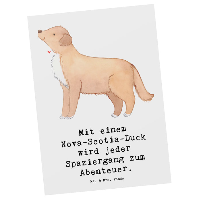Postcard Mit einem Nova-Scotia-Duck wird jeder Spaziergang zum Abenteuer.