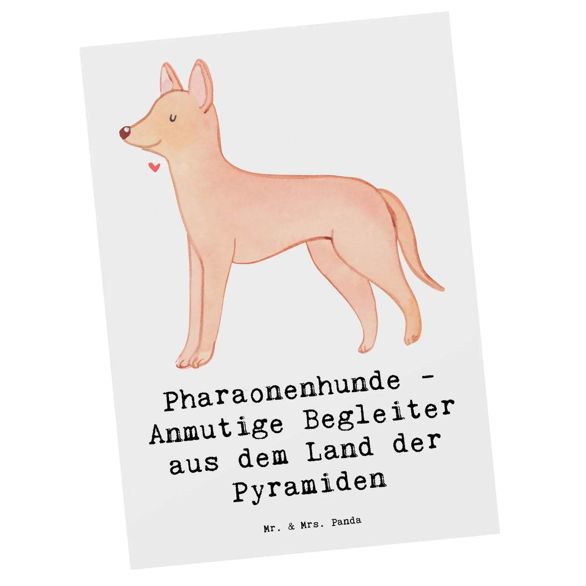 Postkarte Pharaonenhund Freunde Motivkarte, Grußkarte, spruchkarte, kunstkarte, Ansichtskarten, bildkarte, Postkarten, Fotokarte, Kunstkarten, Ansichtskarte, Designkarte, einzelkarte, Postkarte, Geschenk, Schenken, Hund, Hunderasse, Rassehund, Hundebesitzer, Tierfreund, Welpe