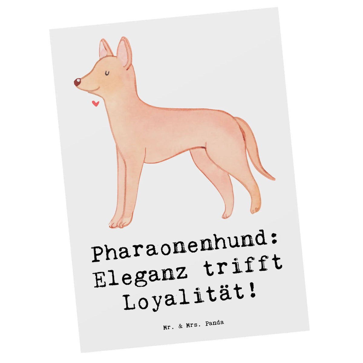 Postkarte Pharaonenhund Eleganz Postkarte, bildkarte, Ansichtskarte, Grußkarte, Kunstkarten, einzelkarte, spruchkarte, Postkarten, Designkarte, Fotokarte, Ansichtskarten, Motivkarte, kunstkarte, Geschenk, Schenken, Hund, Hunderasse, Rassehund, Hundebesitzer, Tierfreund, Welpe