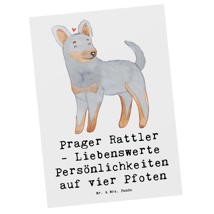Postcard Prager Rattler - Liebenswerte Persönlichkeiten auf vier Pfoten