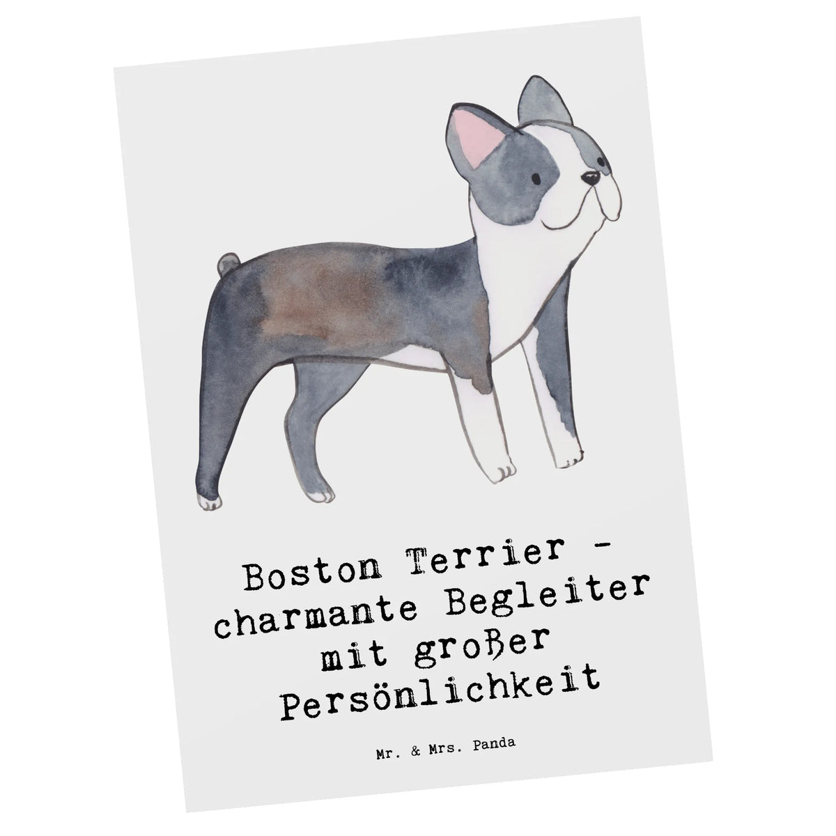 Postkarte Boston Terrier Begleiter Motivkarte, Ansichtskarte, Fotokarte, spruchkarte, kunstkarte, einzelkarte, Ansichtskarten, Kunstkarten, Grußkarte, Designkarte, Postkarte, Postkarten, bildkarte, Geschenk, Schenken, Hund, Hunderasse, Rassehund, Hundebesitzer, Tierfreund, Welpe