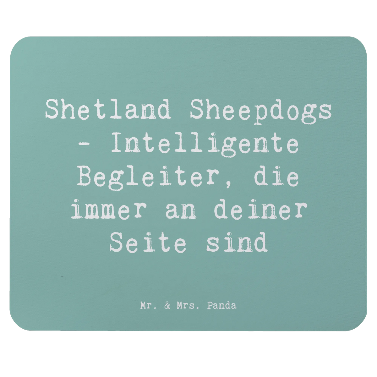 p:1781367|h:d78b7a5bcaf8311c16b06202c4c4d66f