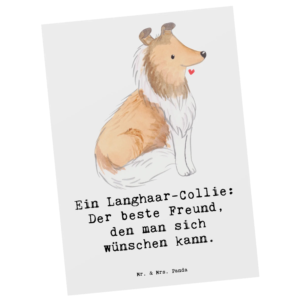 Postcard Ein Langhaar-Collie: Der beste Freund, den man sich wünschen kann. Postkarten, Ansichtskarte, Kunstkarten, Designkarte, spruchkarte, kunstkarte, Grußkarte, Ansichtskarten, Motivkarte, Postkarte, einzelkarte, bildkarte, Fotokarte, Geschenk, Schenken, Hund, Hunderasse, Rassehund, Hundebesitzer, Tierfreund, Welpe
